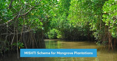 Mishti Scheme For Mangrove Plantations