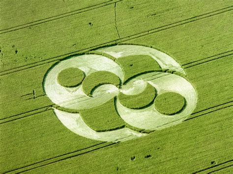 Crop Circles Gallery Ebaums World