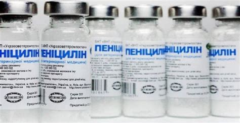 Пеницилинът навършва 90 години - По света и у нас - БНТ Новини