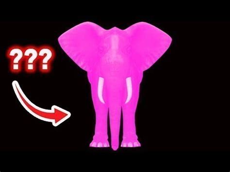 Elephant Sound Variations In Seconds Megacompilation Youtube