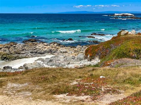 17-Mile Drive: A Scenic Road Trip Through Pebble Beach, California ...