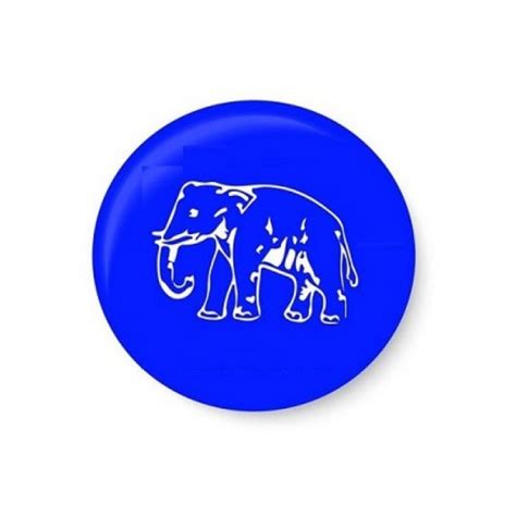 Bsp Party Symbol Sale Cheap | www.alphamedicalmanagement.com