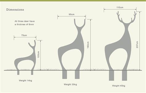 Deer Size Chart