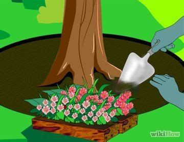 Two Hands Are Pouring Water Into A Planter With Pink Flowers In It And