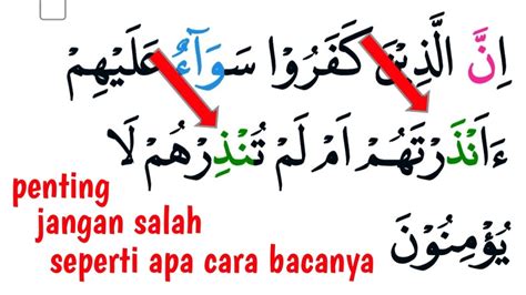 Cara Mudah Belajar Tajwid Alquran Surah Al Baqarah Ayat Youtube