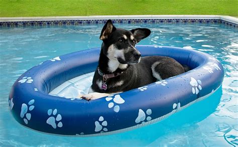 Poolcandy Inflatable Pet Float Easy Set Up Doggy Pool