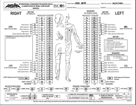 Lecture Spinal Cord Injuries Flashcards Quizlet