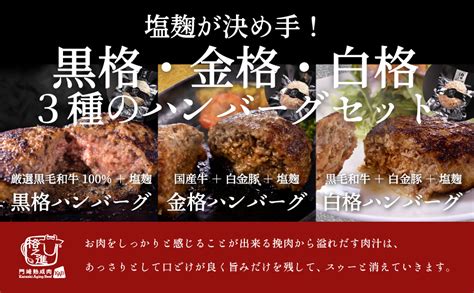 熟成肉の格之進 3種の格之進ハンバーグセット 各2個 肉 牛肉 焼肉 ステーキ お取り寄せ 在庫限り