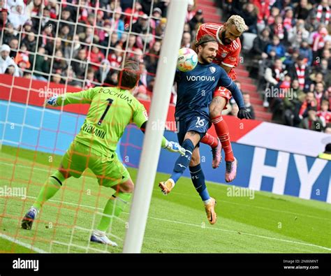 Munich Germany 11th Feb 2023 Soccer Bundesliga Bayern Munich