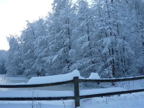 Banco De Imagens Rvore Ramo Neve Cerca Lago Geada Gelo Clima