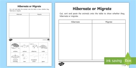 Hibernation Migration Worksheets