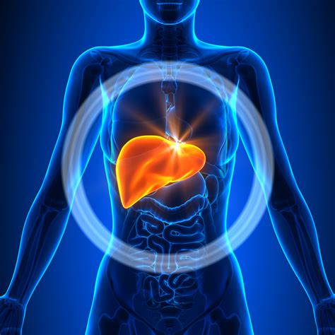 Among CF Patients in UK, Study Finds Rise in Liver Disease and Cirrhosis