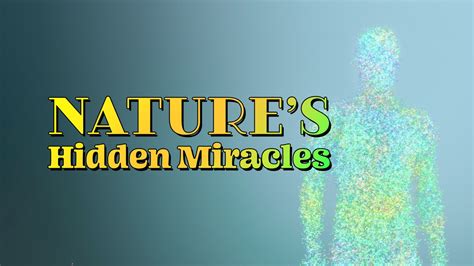 Microorganisms The Invisible Ruler Natures Hidden Miracles Season 1 Episode 3 Apple Tv