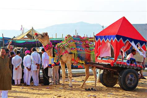 Pushkar Mela – Rajasthan Routes Trails Blog