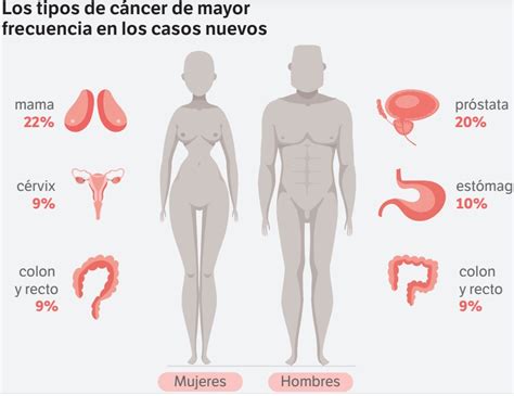 Tipos De Cáncer Clínica Ciao