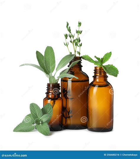 Bottle Of Essential Oil And Fresh Herbs Isolated On White Stock Photo