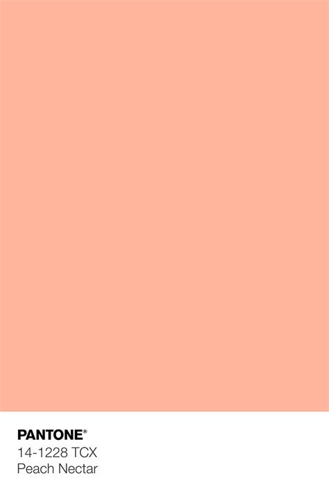 Peachcoral Tone Color Palette Can Be Extended When Used With Other