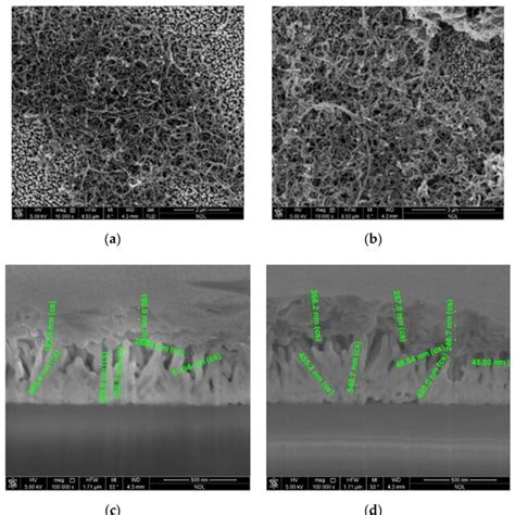 A B Fe Sem Images Of The Zno Zns Coreshell Cnt Nanostructures