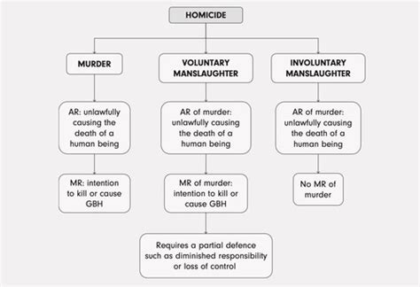 sqe criminal  homicide ii involuntary manslaughter flashcards