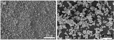 Effect Of Erbium Micro Additions On Microstructures And Properties Of