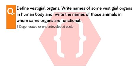 Define Vestigial Organs Write Names Of Some Vestigial Organs In Human