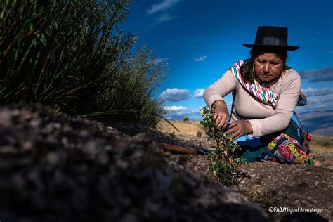 Informe Onu De Los Pa Ses De Am Rica Latina Y El Caribe Tienen Alta Exposici N A Eventos