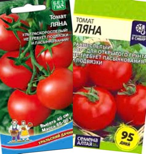 3 сорта низкорослых томатов советской селекции - вкуснее новинок ...