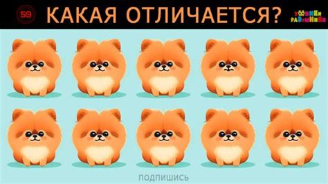 Несколько заданий на поиск отличий 😎 Выполни разминку для мозга 👩‍🏫 ...