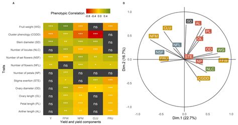 Agronomy Free Full Text Yield Components And Development In