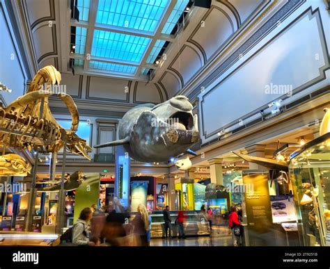 The Hall Of Oceans At The Smithsonian National Museum Of Natural