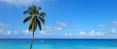 Barbados, una isla esculpida de coral