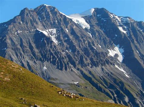 Lacs Des Lozi Res Lacs De La Roche Ferran Lac Du Pelve Moraine Du