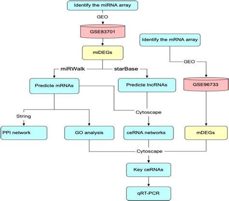 Bioinformatic Analysis Of Lncrna Mediated Cerna Network In Intestinal