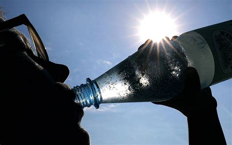 Inzest Ist Sex Unter Geschwistern Bald Erlaubt