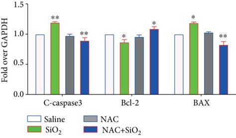 Ros Scavenger Nac Inhibits Sio Induced Wnt Catenin Signaling