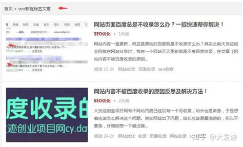 网站seo优化基础教程：网站内部优化之分类、标签优化设置 知乎