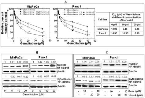 A Miapaca And Panc1 Cells Were Grown In 96 Well Microtitre Plates