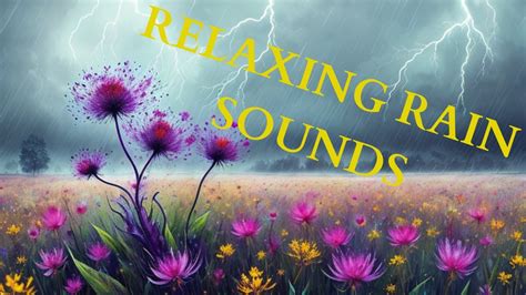 Relaxing Rain Sounds 5 Hours Relaxing Rain Sounds For Insomnia