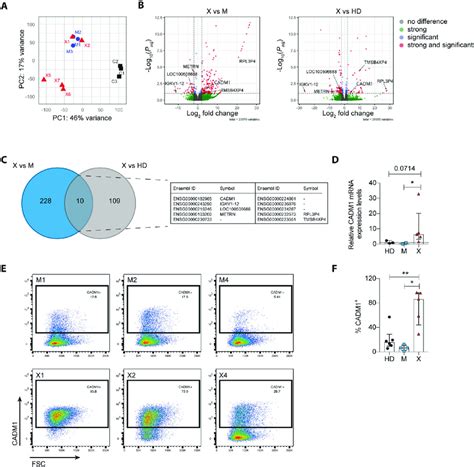 Cadm Expression Is Upregulated In Xiap Patient Derived Lcls Compared