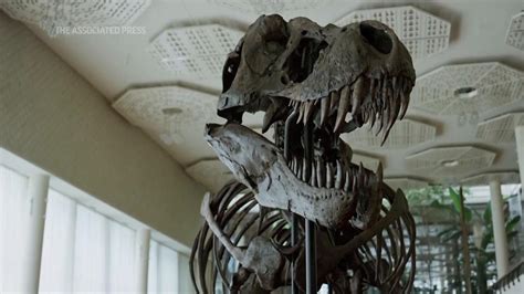 T Rex Skeleton Sells For More Than 5m At Zurich Auction Ap News