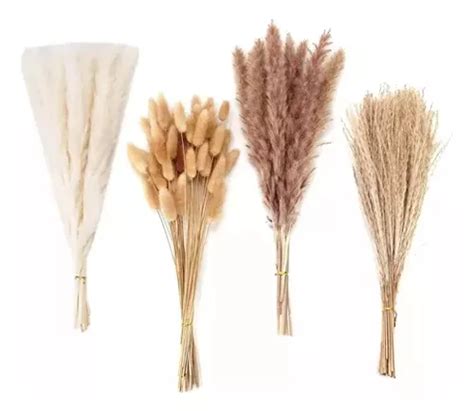 Capim Plumas Dos Pampas Decoração Natural 110 Peças Parcelamento