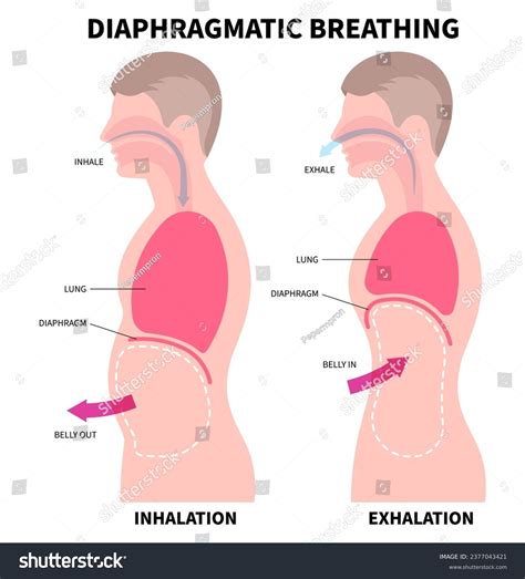 Deep Breathe Exercise Techniques Stress Relief Stock Vector (Royalty