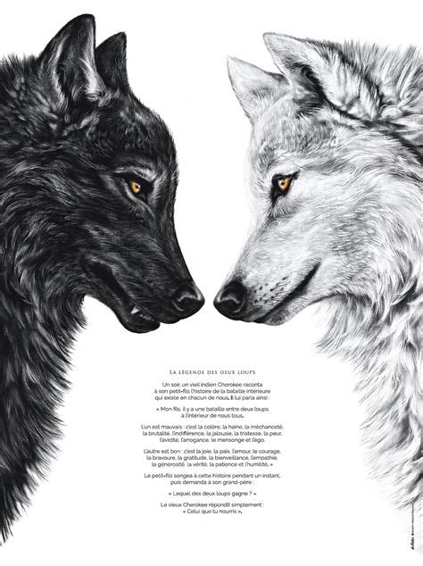 L Gende Des Deux Loups Affiche Et Carte Version Compl Te