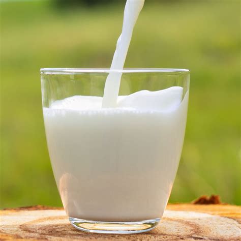 Popular Milk Substitutes - Meal Plan Weekly