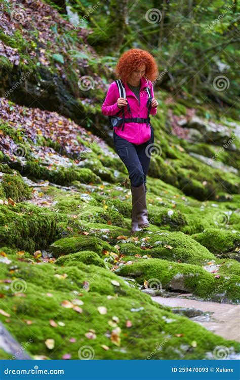 Woman hiker in the forest stock image. Image of action - 259470093