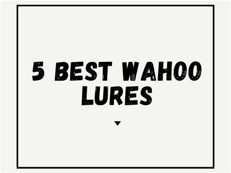 Best Wahoo Lures - 5 Great Lure Options