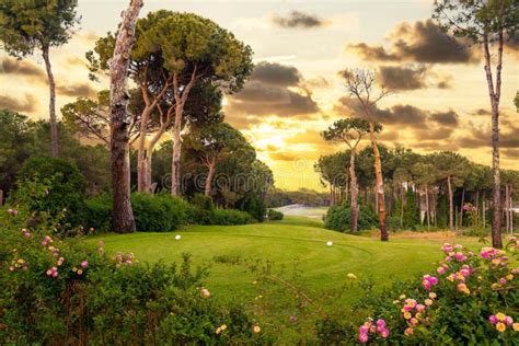 Tee Box Area At Golf Course At Sunset With Beautiful Sky Scenic