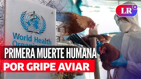 Oms Confirma En MÉxico La Primera Muerte Humana Por Gripe Aviar A H5n2