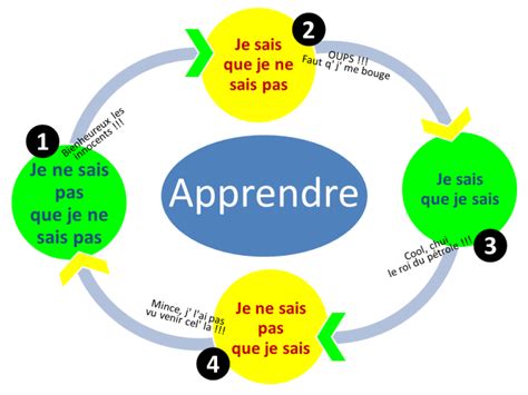 Les Quatre Étapes De La Compétence Un Cadre Pour LApprentissage Et