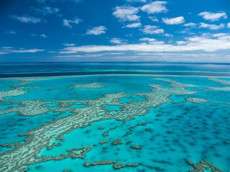 Learn about the Great Barrier Reef - Coral Sea Marina